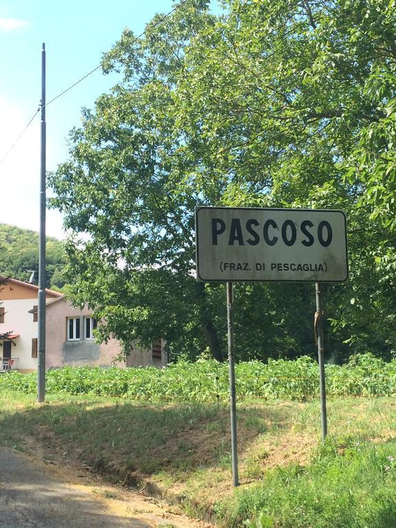 Casa Marta Villa Pescaglia Екстериор снимка